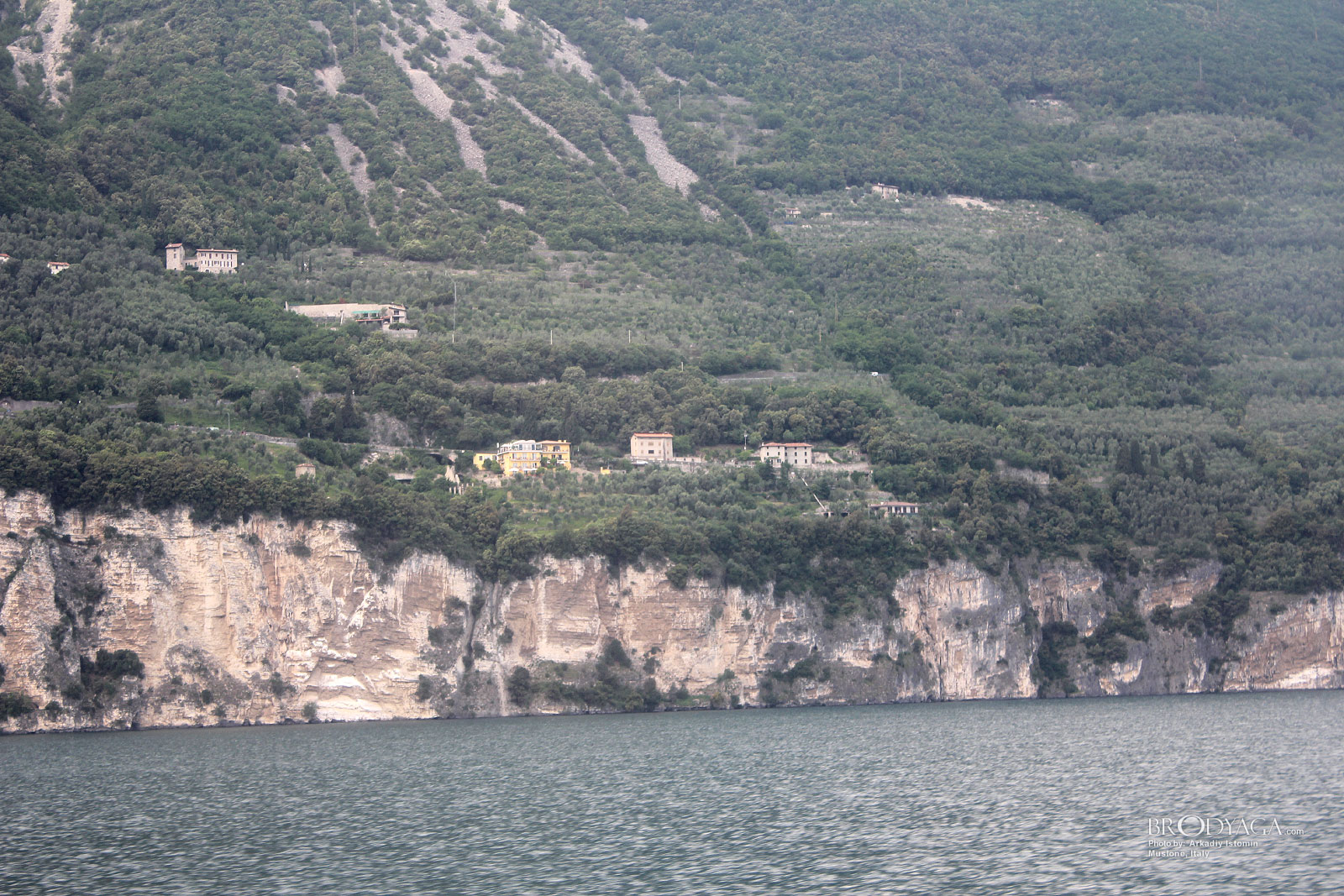 Muslone